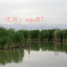 ʱ