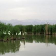 ĺ֮